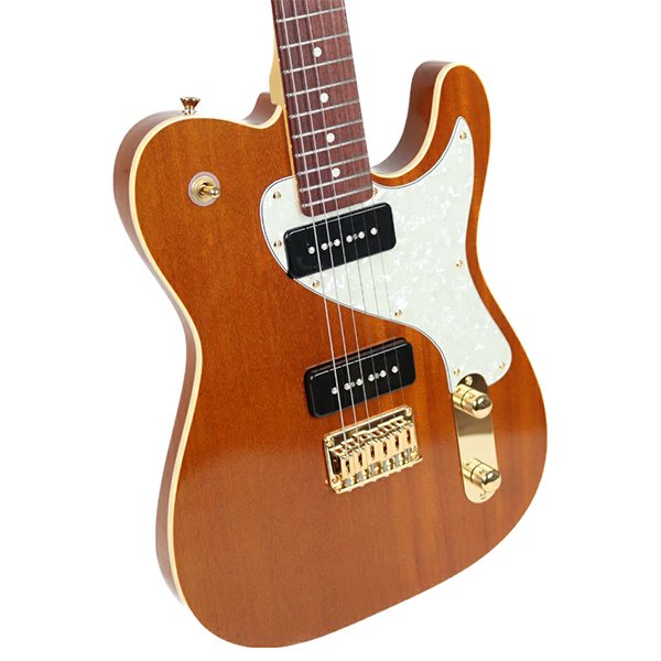 新品 エレキギター ムーン Moon REGGAE MASTER RM-DXII

