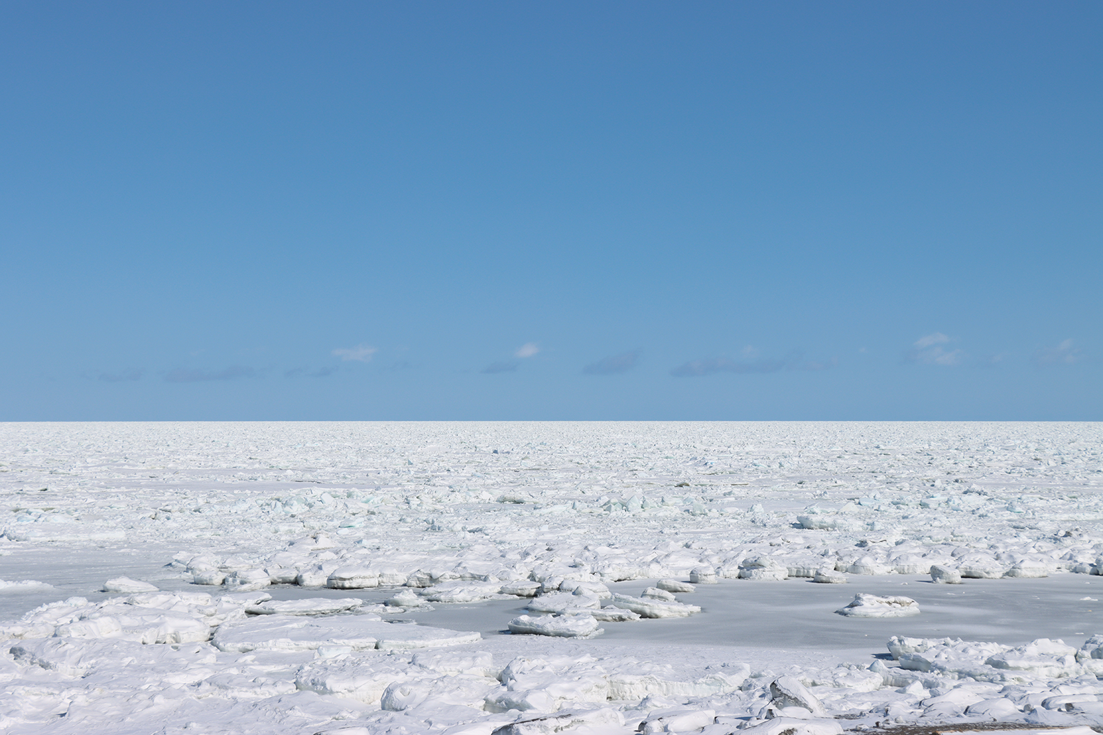 北海道・オホーツク 流氷接岸 浜小清水・フレトイ海岸【動画もあります！】（2024年2月29日）
