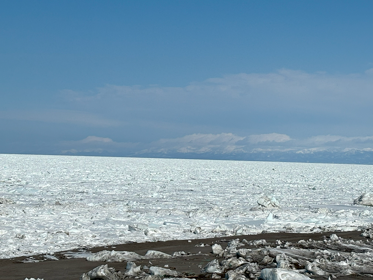 北海道 オホーツク 浜小清水 またまた戻ってきた流氷!2024年3月19日