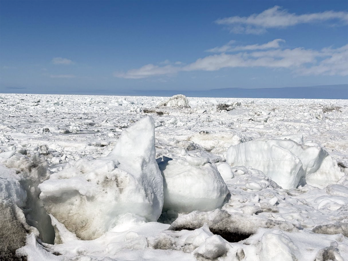 北海道 浜小清水 3月の後半で大接岸！2024年3月22日