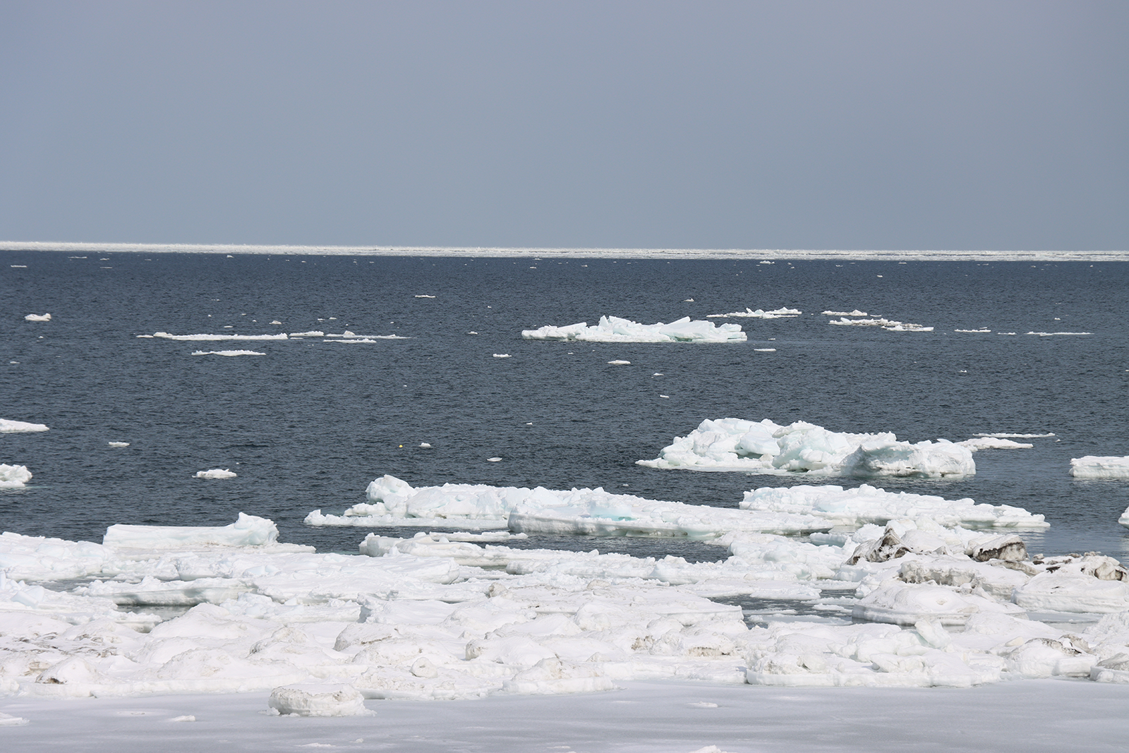 北海道 オホーツク 流氷 浜小清水 フレトイ海岸 沖へ遠ざかった！【動画あり】（2024年3月4日）