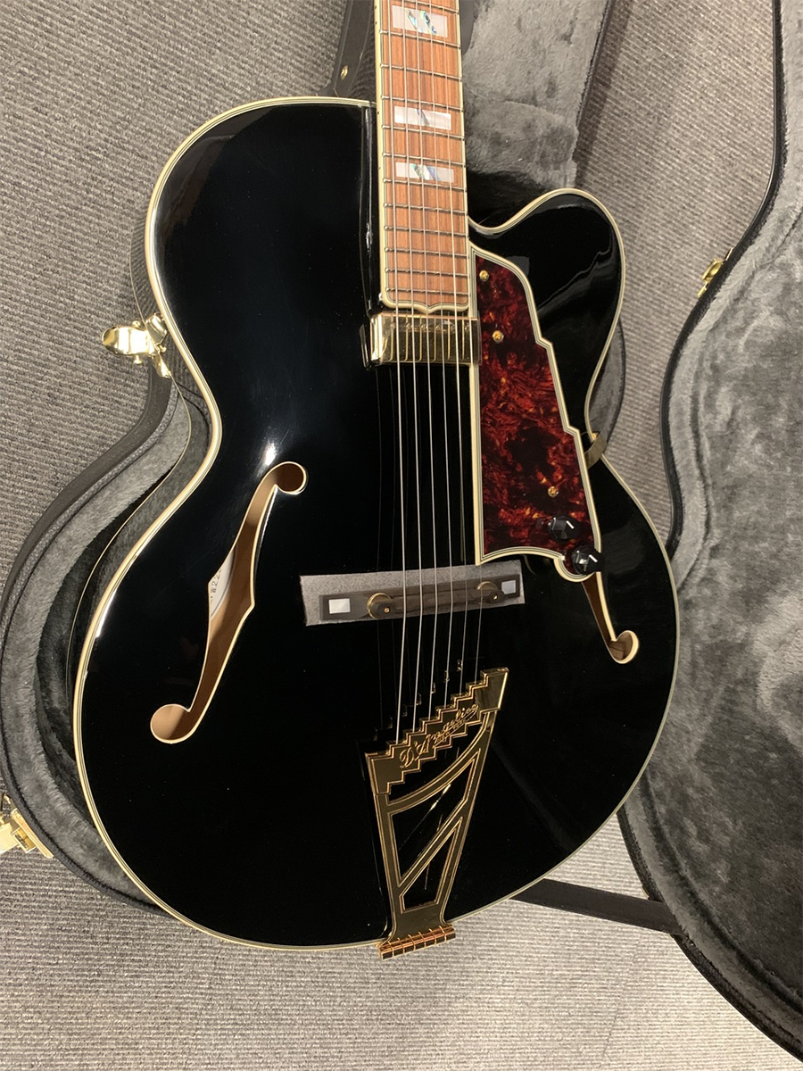 新品 エレキギター フルアコ ディアンジェリコ D'Angelico Excel EXL-1 Throwback Viola