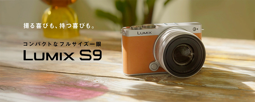 カメラ デジタル ミラーレス パナソニック Panasonic LUMIX S9 レンズ 18-40mm