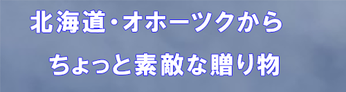 北海道・オホーツクからちょっと素敵な贈り物