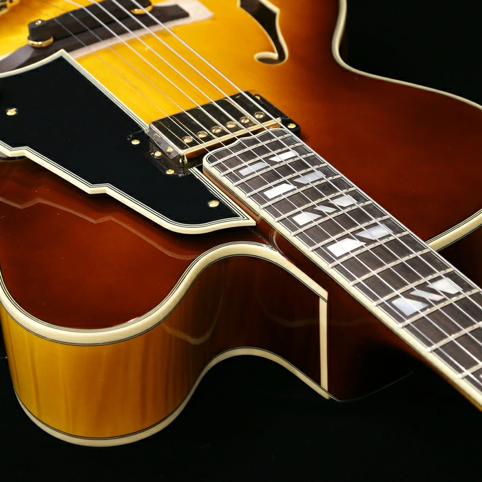新品 エレキギター フルアコ ディアンジェリコ D'Angelico Excel EXL-1