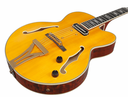 新品 エレキギター フルアコ アイバニーズ Ibanez SIGNATURE MODEL Pat Metheny PM3C-NAL
