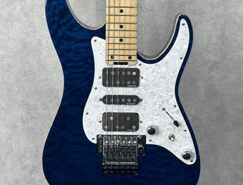 中古 エレキギター シェクター SCHECTER SD-2-24-BW 2013年製