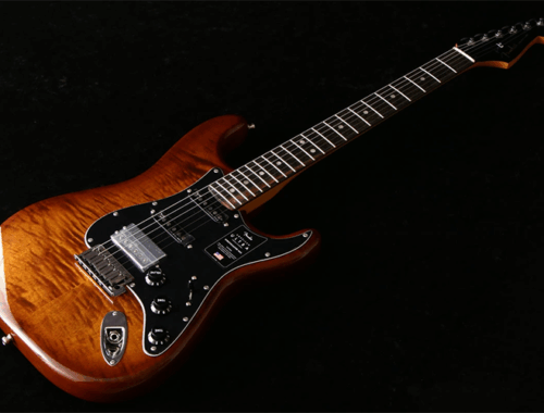 新品 エレキギター フェンダー ストラトキャスター Fender American Ultra Stratocaster HSS