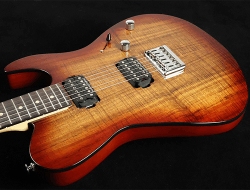 新品 エレキギター FUJIGEN フジゲン JIL2-DU-EW2-R ILIAD