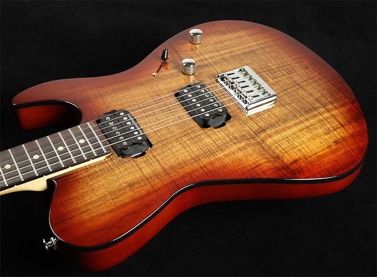 新品 エレキギター FUJIGEN フジゲン JIL2-DU-EW2-R ILIAD