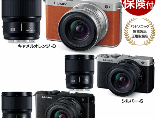 新品 ミラーレス一眼 カメラ Panasonic LUMIX S9 18-40mm 50mm
