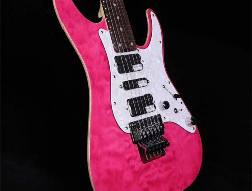 新品 エレキギター シェクター SCHECTER SD-2-24AL