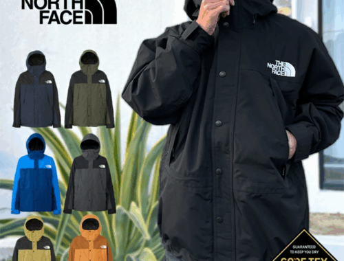 メンズ アウトドア マウンテンライト ジャケット パーカー GORE-TEX ノースフェイス