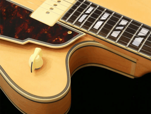 新品 エレキギター フルアコ ディアンジェリコ D'Angelico Excel 59