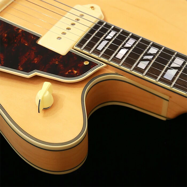 新品 エレキギター フルアコ ディアンジェリコ D'Angelico Excel 59