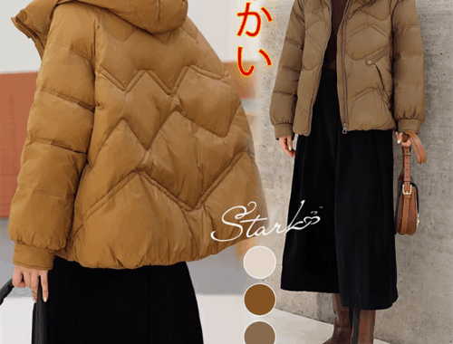 レディース シフォン ブラウス バックVネック 長袖 セゾン ド パピヨン