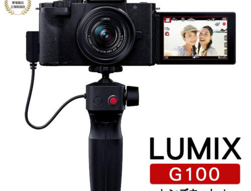 新品 ミラーレス一眼カメラ パナソニック LUMIX G100DV トライポッドグリップ 12-32mm