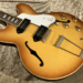 新品 エレキギター エピフォン Epiphone USA カジノ CASINO