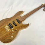 ◎新品 エレキギター フジゲン EOS2-DU-EW2-RM/VNT