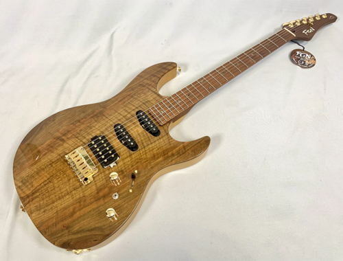 新品 エレキギター フジゲン FUJIGEN EOS2-DU-EW2-RM/VNT Expert ODYSSEY