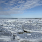 ■2026/1/26 北海道・浜小清水・フレトイ海岸 流氷接岸 初日