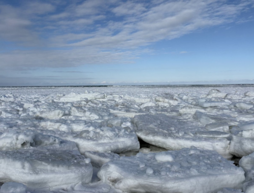 2026/1/26 北海道・浜小清水・フレトイ海岸 流氷接岸初日