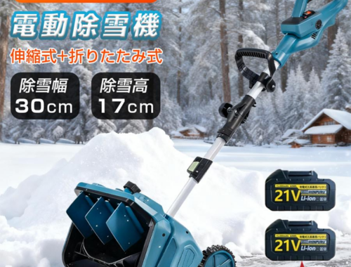 除雪機 家庭用 電動 充電式 雪かき 除雪幅30cm GJ03373