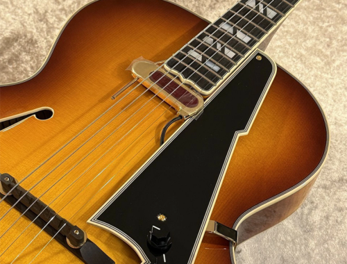 新品 エレキギター フルアコ ディアンジェリコ D'Angelico Excel Style B