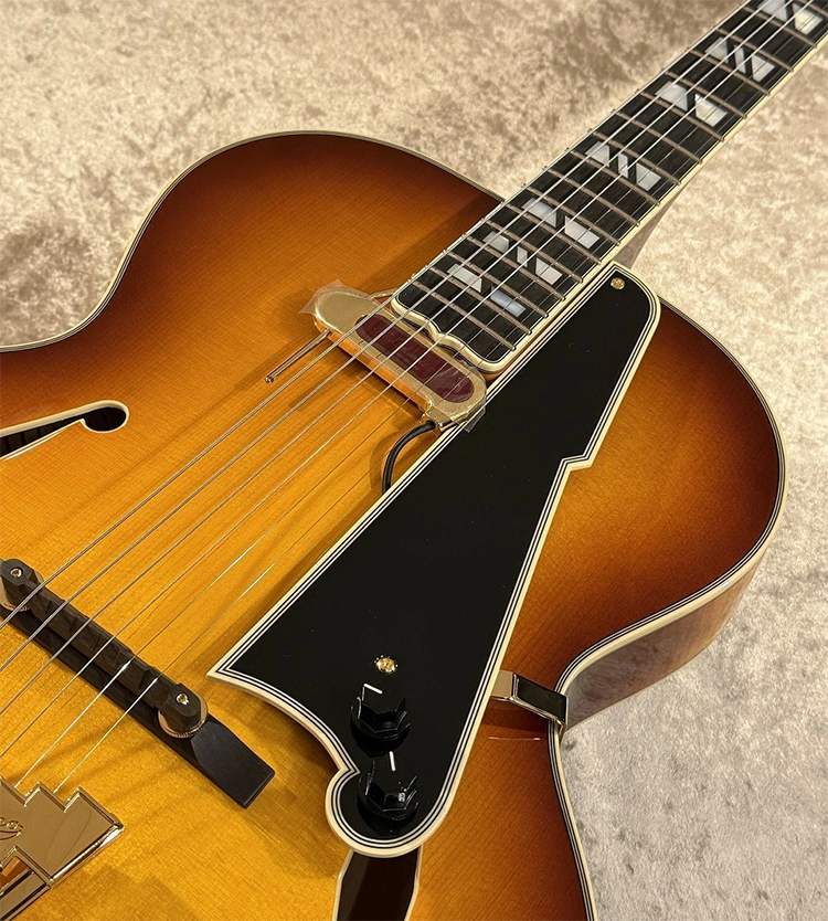 新品 エレキギター フルアコ ディアンジェリコ D'Angelico Excel Style B