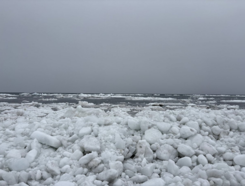 2026/3/4 北海道・浜小清水・フレトイ海岸 流氷再接岸
