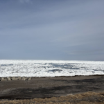 ■2026/3/5 北海道・浜小清水フレトイ海岸 流氷再接岸（完ぺき）