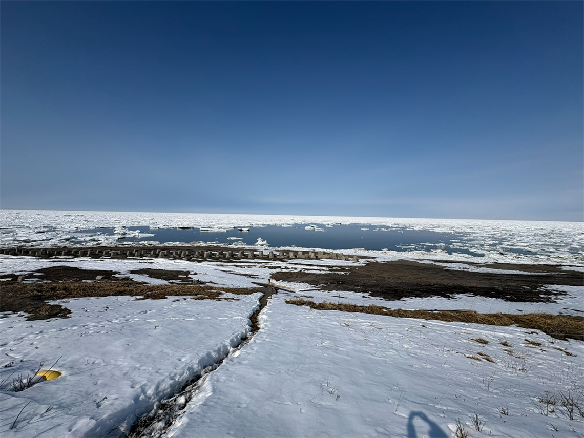 2026/3/24 北海道・浜小清水・フレトイ海岸 流氷再々接岸
